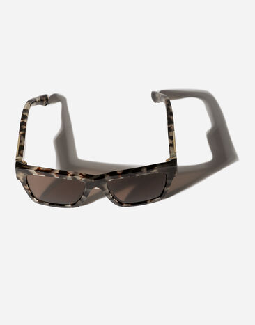 Dolce & Gabbana Mirror logo sunglasses Havana beige VG446DVP473