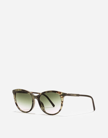 Dolce & Gabbana Everyday Sunglasses Green havana VG4540VP82C