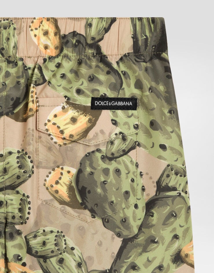 Dolce & Gabbana Cactus-print medium nylon swim shorts Multicolor L1J818ON0CI