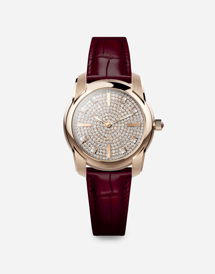 Dolce & Gabbana DG7 Pavé red gold watch Red WWFE2GX5IDA