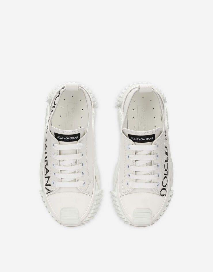 Dolce & Gabbana SNK Multicolor D11138AA211