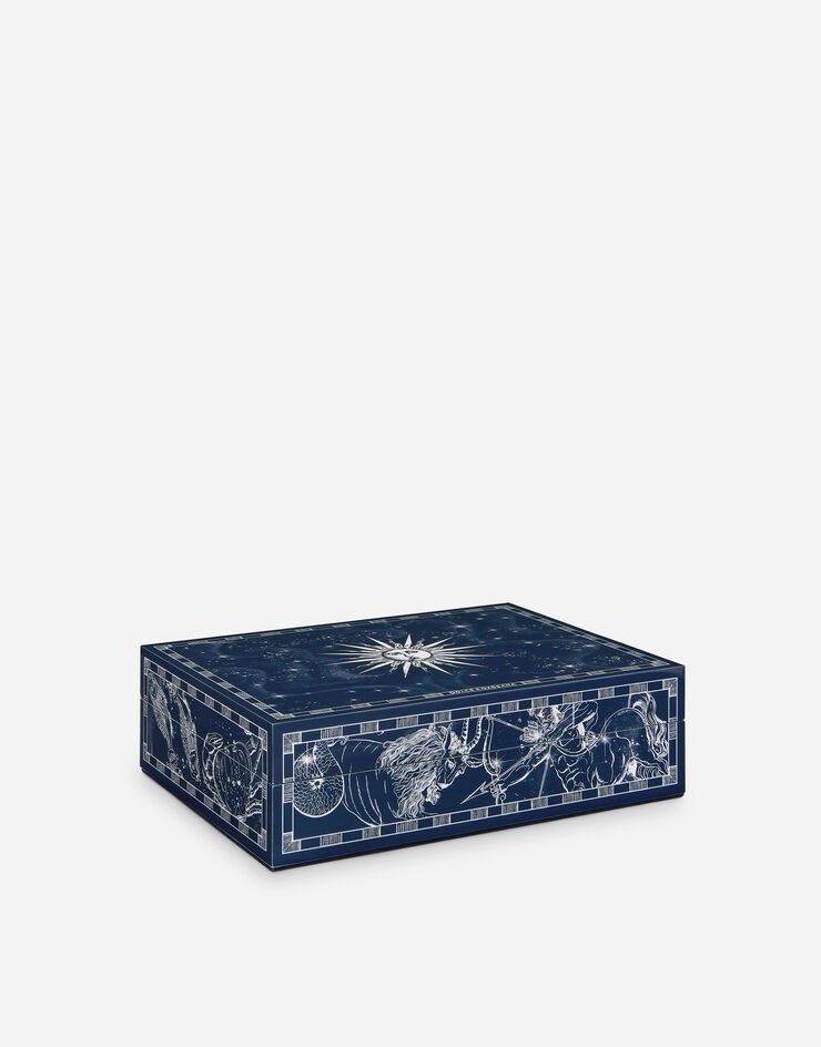 Dolce & Gabbana Große verzierte Plexiglasbox Dolce & Gabbana Große verzierte Plexiglasbox Mehrfarbig TCC201TCAMY