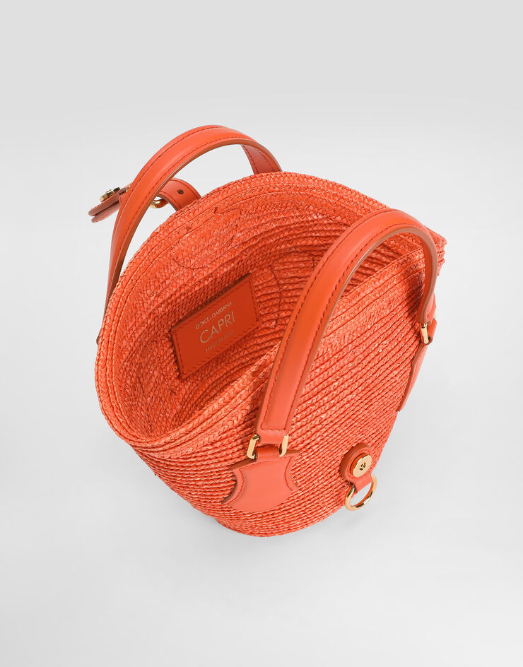 Dolce & Gabbana Raffia coffa capri Dolce & Gabbana Raffia coffa capri Multicolor BB7915A0430