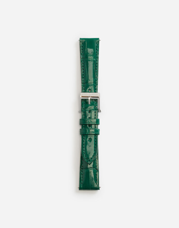 Dolce & Gabbana Cinturino in alligatore con fibbia ad ardiglione in acciaio Verde Scuro WSFE2LXLAC1