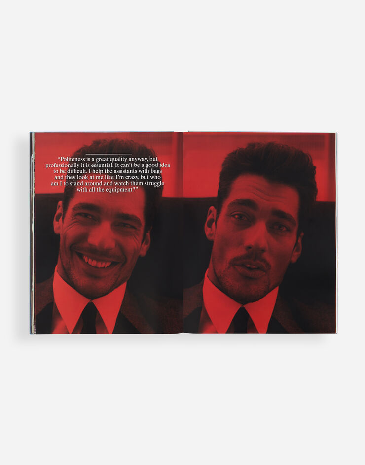 Dolce & Gabbana DAVID GANDY BY DOLCE&GABBANA Multicolor VL1014VLTW4