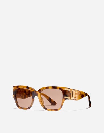 Dolce & Gabbana DG Griffe Sunglasses Yellow havana VG4563VP663