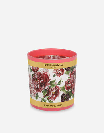Dolce & Gabbana شمعة عطرية - ورد مسكي متعدد الألوان TCC087TCAG5