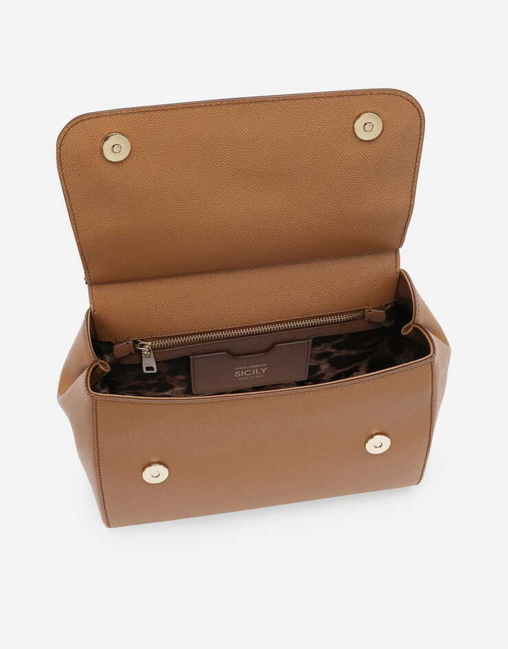 Dolce & Gabbana BORSA A MANO Brown BB6002A1001