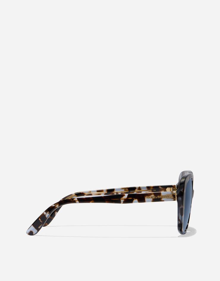 Dolce & Gabbana Everyday Sunglasses Dolce & Gabbana Everyday Sunglasses Blue havana VG4569VP380