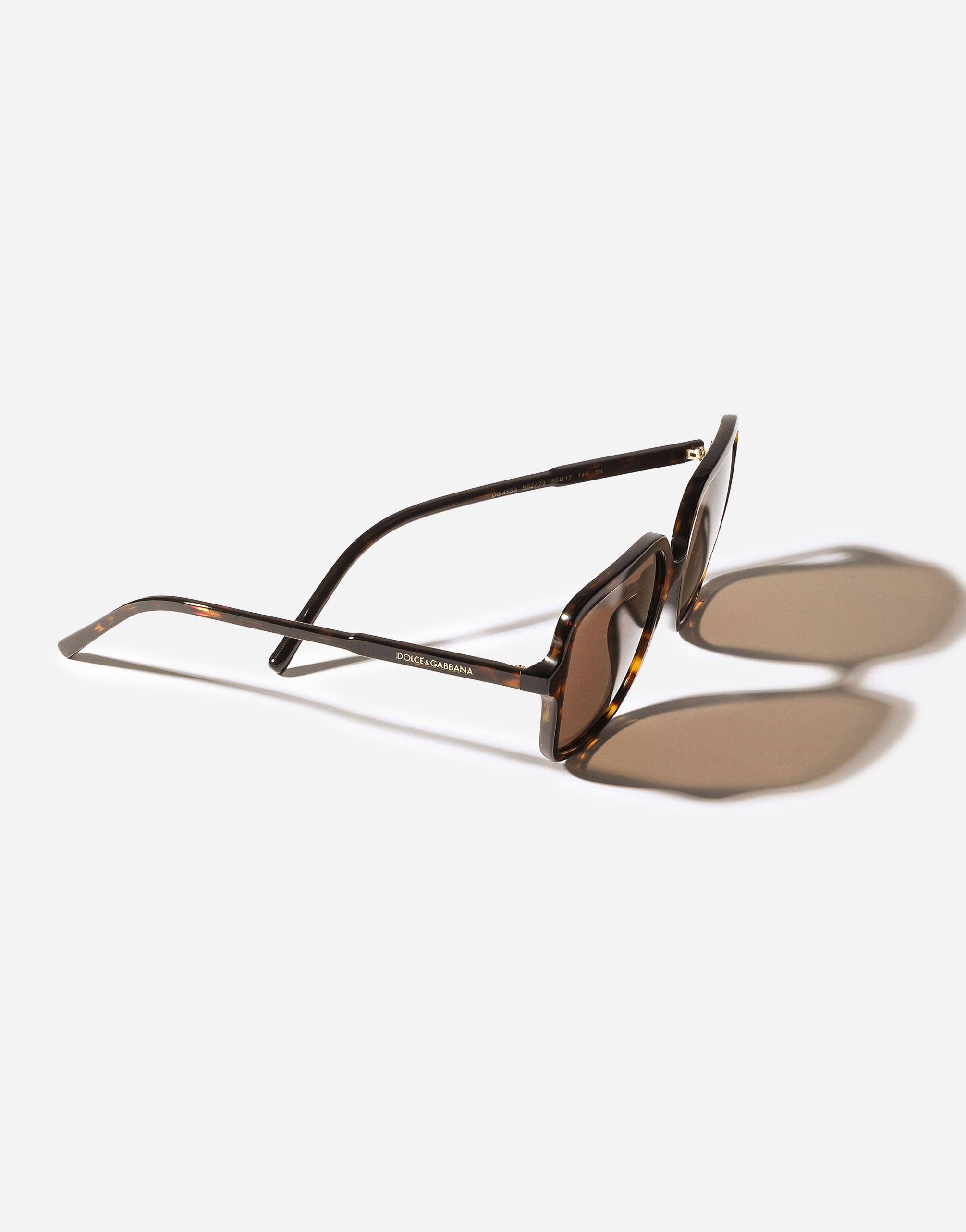 DG Everyday Sunglasses in Havana for Women | Dolce&Gabbana® US