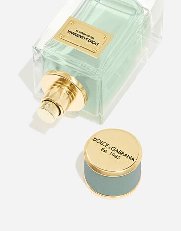 Dolce & Gabbana Velvet Infusion Eau de Parfum - VT00VPVT000