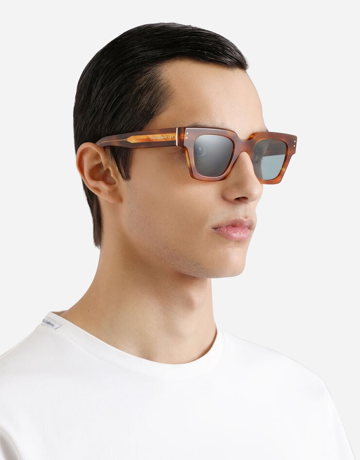 Dolce & Gabbana DNA Sunglasses Havana ginger VG4413VP180