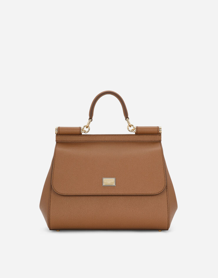 Dolce & Gabbana BORSA A MANO Brown BB6002A1001