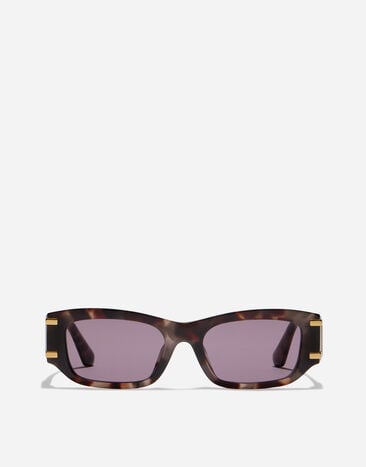 Dolce & Gabbana DG Griffe Sunglasses Violet havana VG4564VP8LA