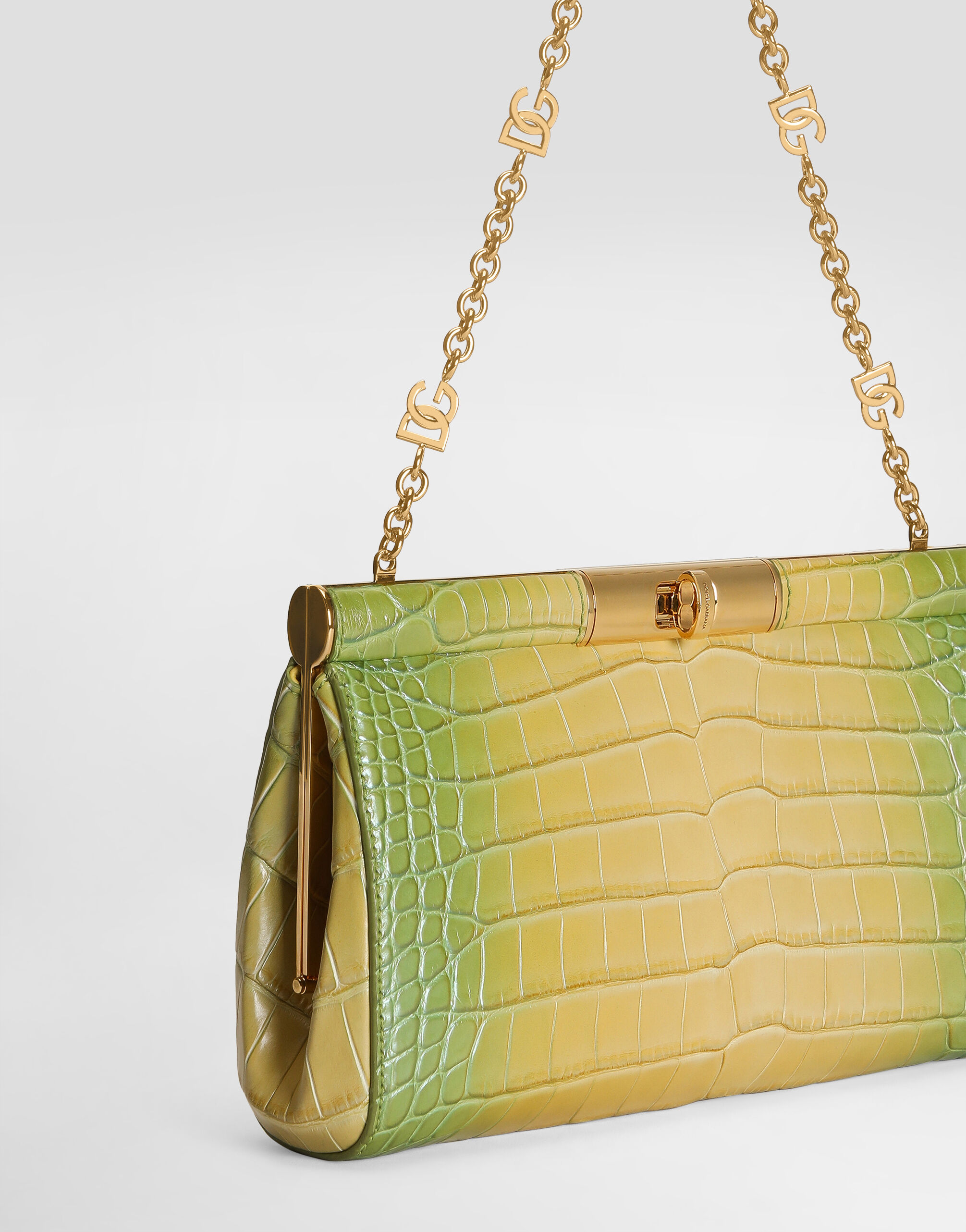 Marlene degradé alligator shoulder bag in Multicolor for Women