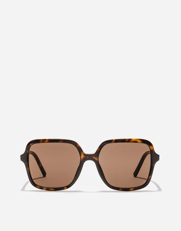 Dolce & Gabbana DG Everyday Sunglasses Havana VG4539VP273