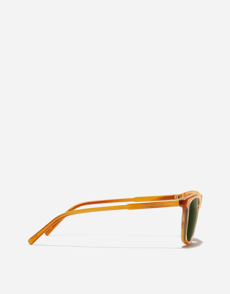 Dolce & Gabbana Everyday Sunglasses Dolce & Gabbana Everyday Sunglasses Transp camel on striped ginger VG4542VP371