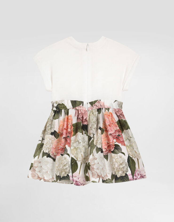 Dolce & Gabbana Hydrangea-print jersey and poplin dress Multicolor L2JDAUG7PQP