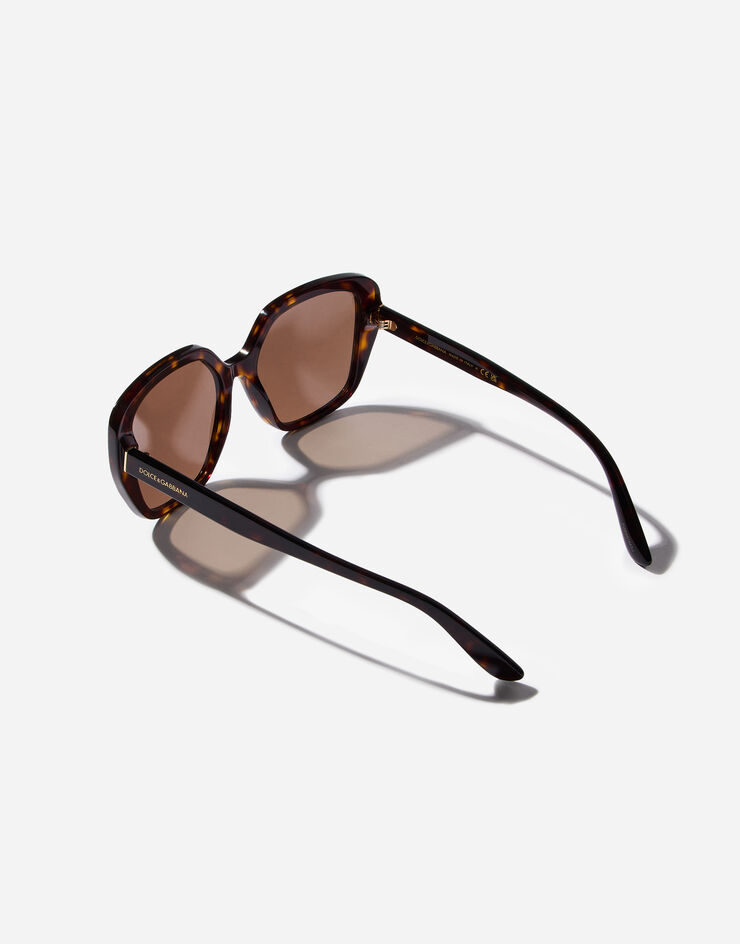 Dolce & Gabbana Everyday Sunglasses Dolce & Gabbana Everyday Sunglasses Havana VG4569VP273