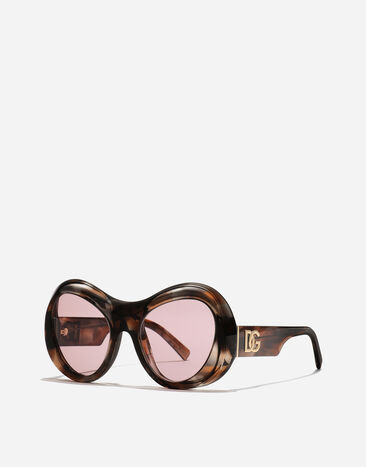 Dolce & Gabbana Re-Edition Sunglasses Camel havana VG4550VP084