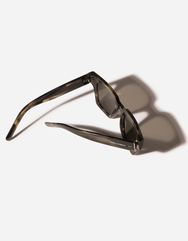 Dolce & Gabbana DNA Sunglasses Green havana VG4413VP003