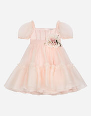 Dolce & Gabbana Silk organza dress Pink BI0330AV967