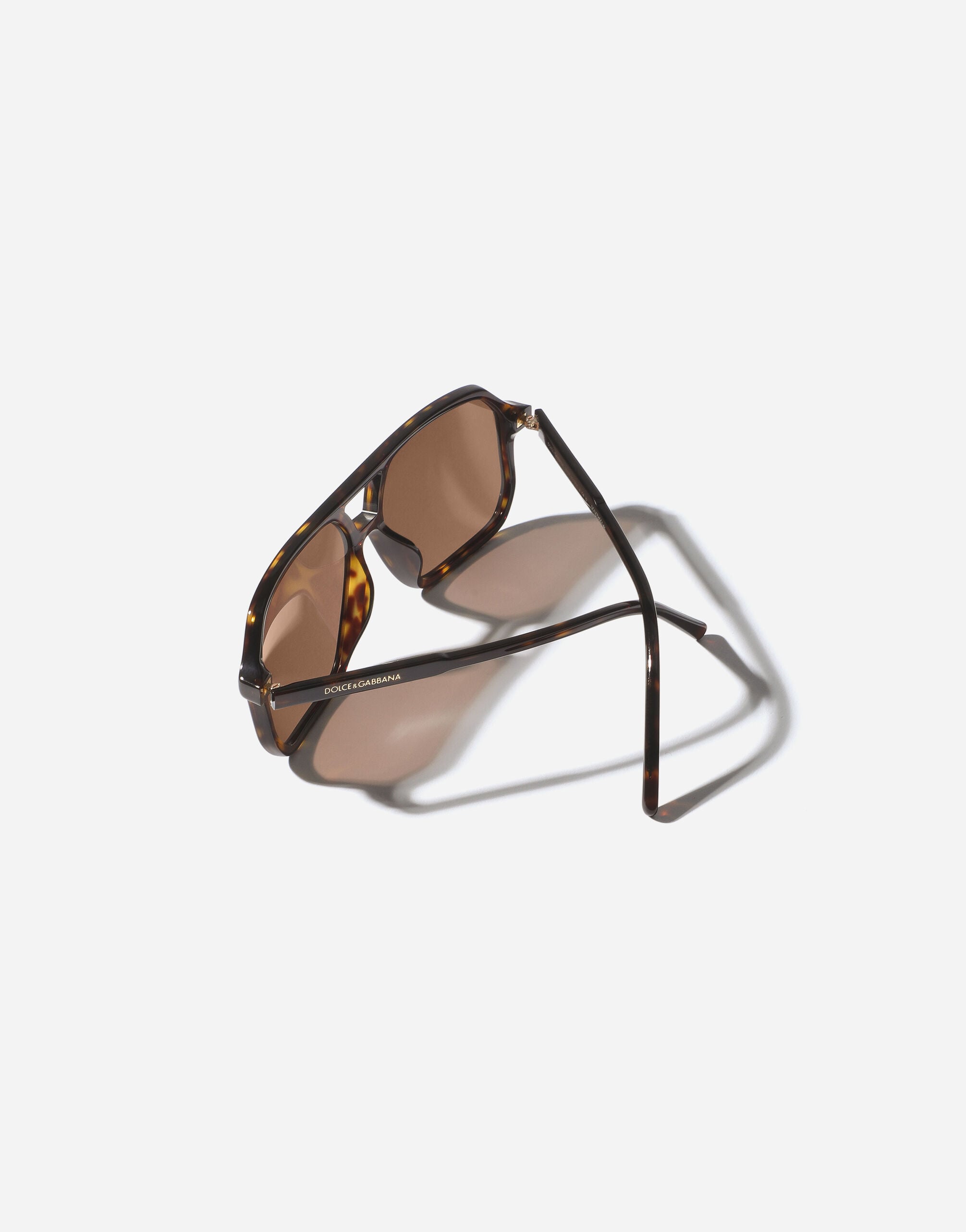 Everyday Sunglasses in Havana for Women | Dolce&Gabbana® US