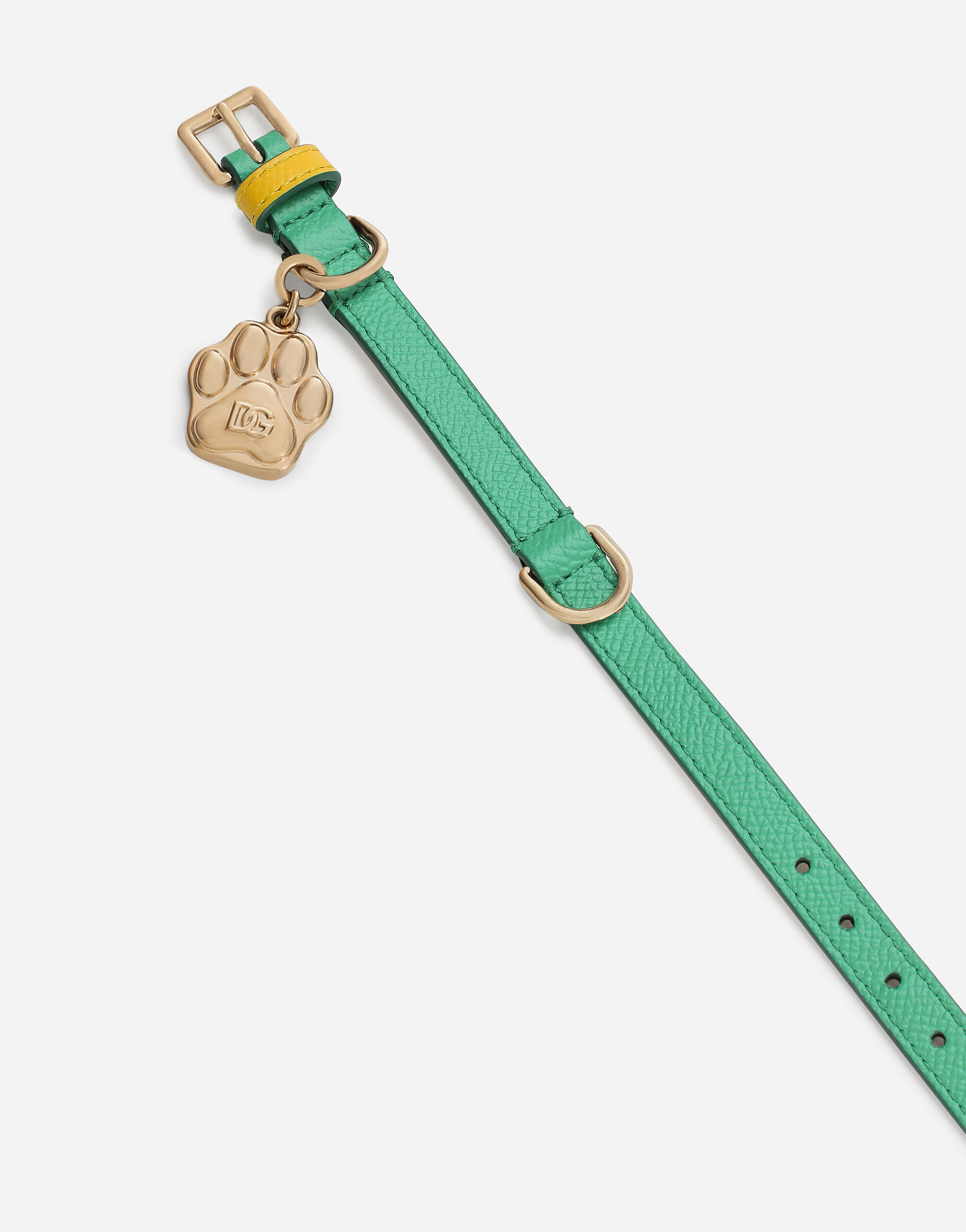 Dog collar in Green Dolce Gabbana