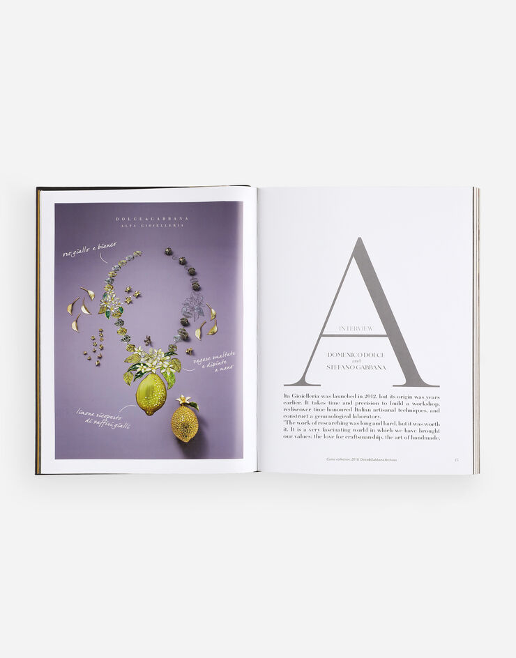 Dolce & Gabbana Dolce & Gabbana Alta Gioielleria: Masterpieces of High Jewellery Multicolor VL1127VLTW2