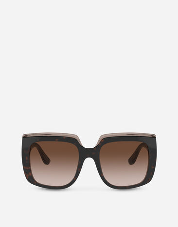 Dolce & Gabbana Capri sunglasses Havana VG4414VP213