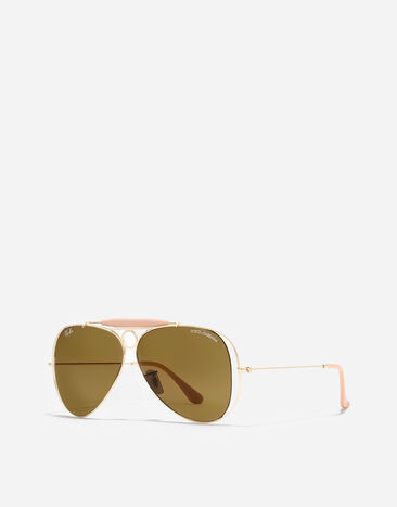 Dolce & Gabbana Dolce&Gabbana X RAY-BAN Sunglasses Arista VG3138VM173
