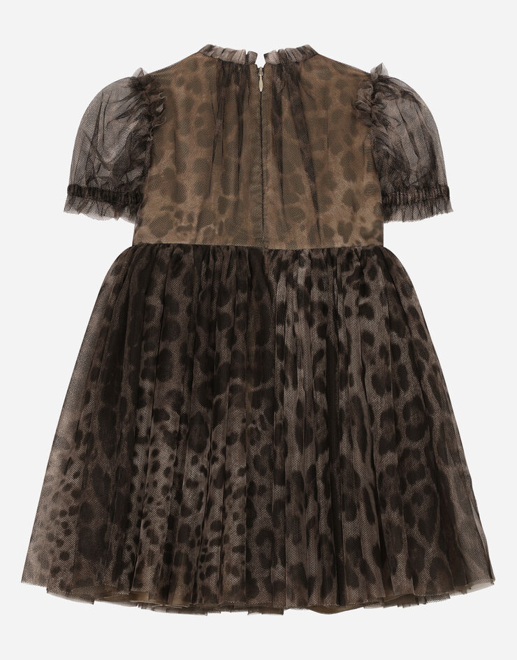 Dolce & Gabbana Платье миди из тюля с леопардовым принтом леопардовым принтом L53DL2G7I3U
