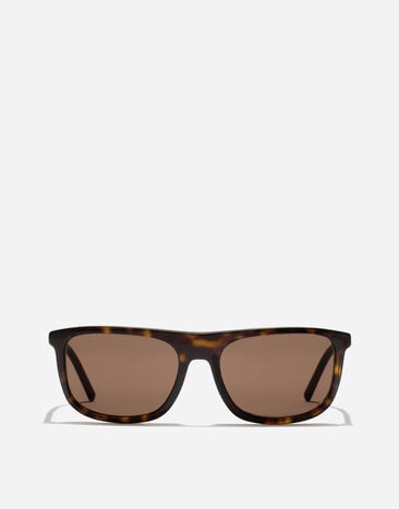 Dolce & Gabbana Everyday Sunglasses Havana VG4542VP273