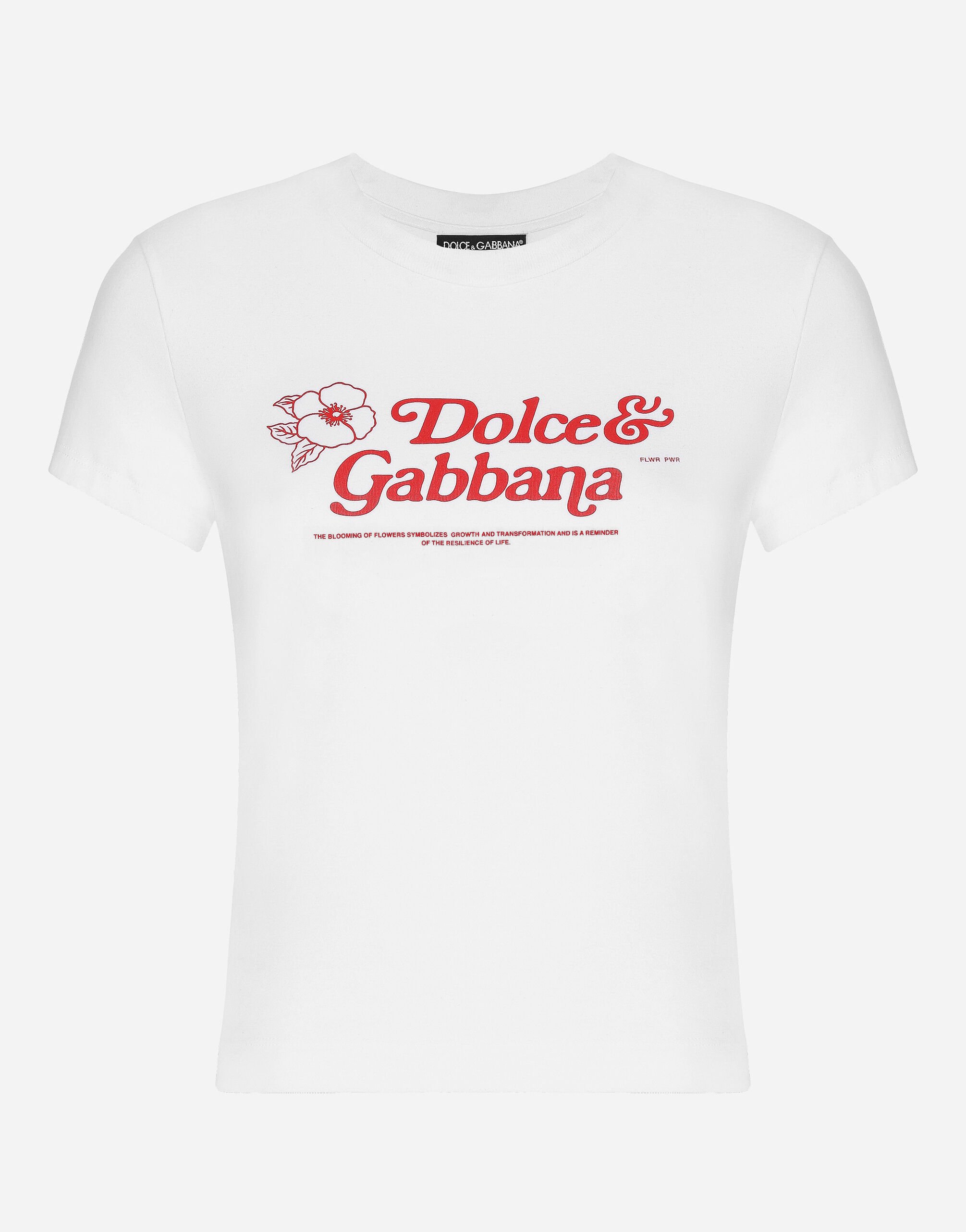 Dolce & Gabbana Jersey T-shirt with Dolce&Gabbana print Pink BB7287AS204