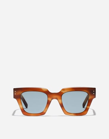 Dolce & Gabbana DNA Sunglasses Havana ginger VG4413VP180