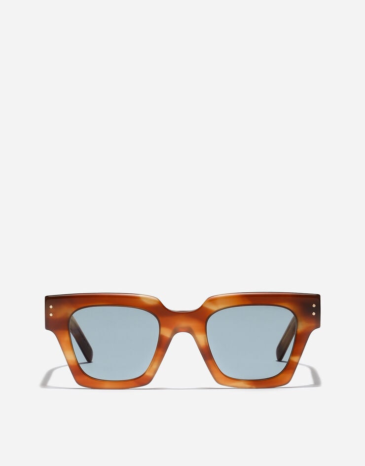 Dolce & Gabbana DNA Sunglasses Havana ginger VG4413VP180