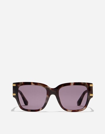 Dolce & Gabbana DG Griffe Sunglasses Violet havana VG4563VP8LA