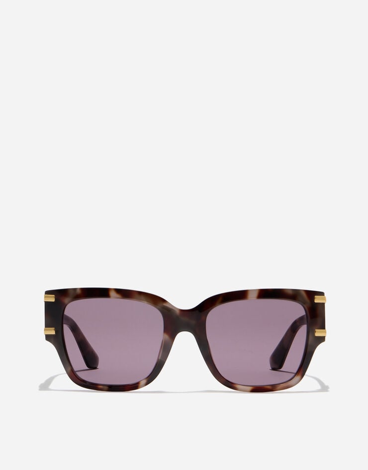 Dolce & Gabbana DG Griffe Sunglasses Dolce & Gabbana DG Griffe Sunglasses Violet havana VG4563VP8LA