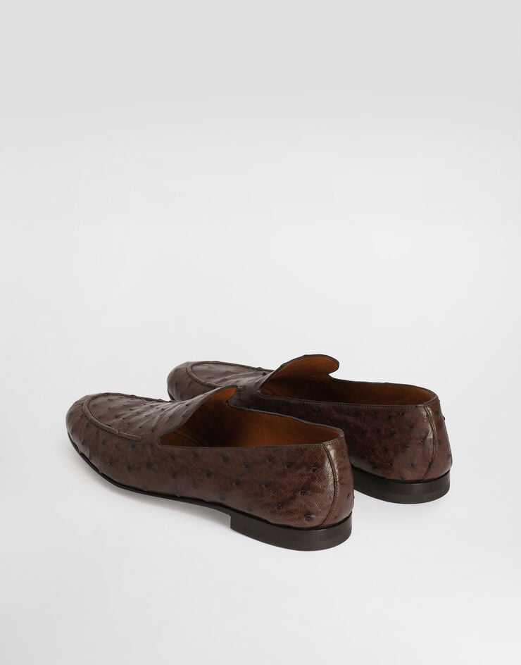 Dolce & Gabbana Ostrich leather slippers Brown A50716AE436