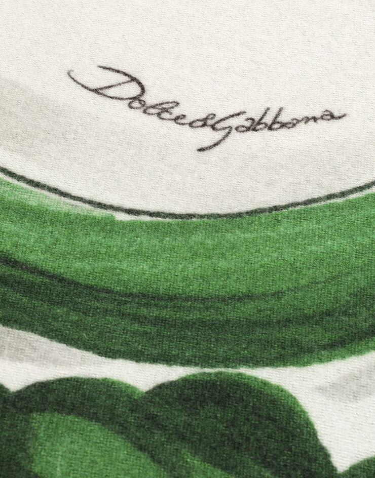 Dolce & Gabbana Silk and Wool Blanket Multicolor TCE012TCAB6