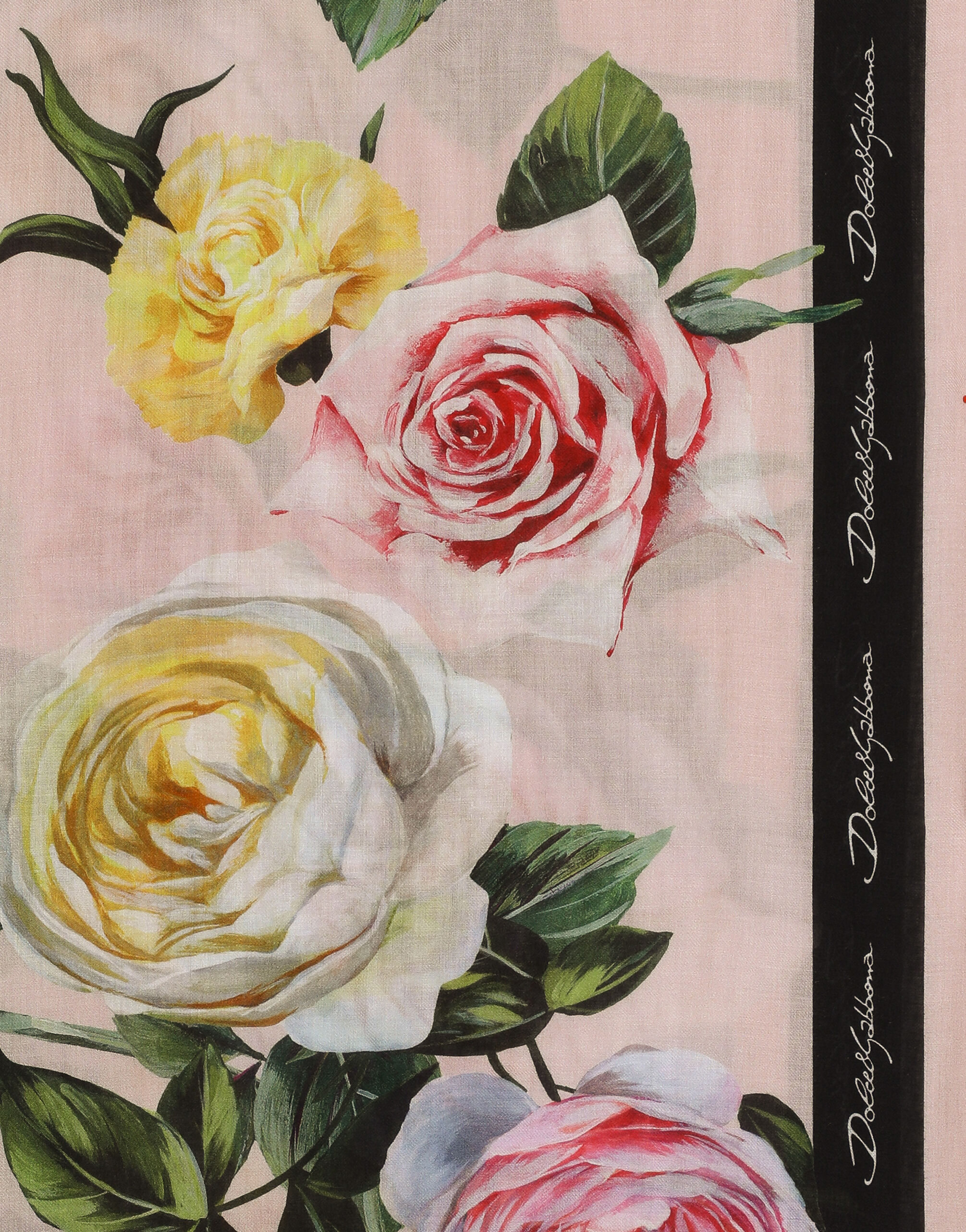 スカーフ DOLCE & GABBANA Cashmere and silk foulard Rosa DOLCE & GABBANA Pink Cashmere & Silk Floral Print Scarf - 18