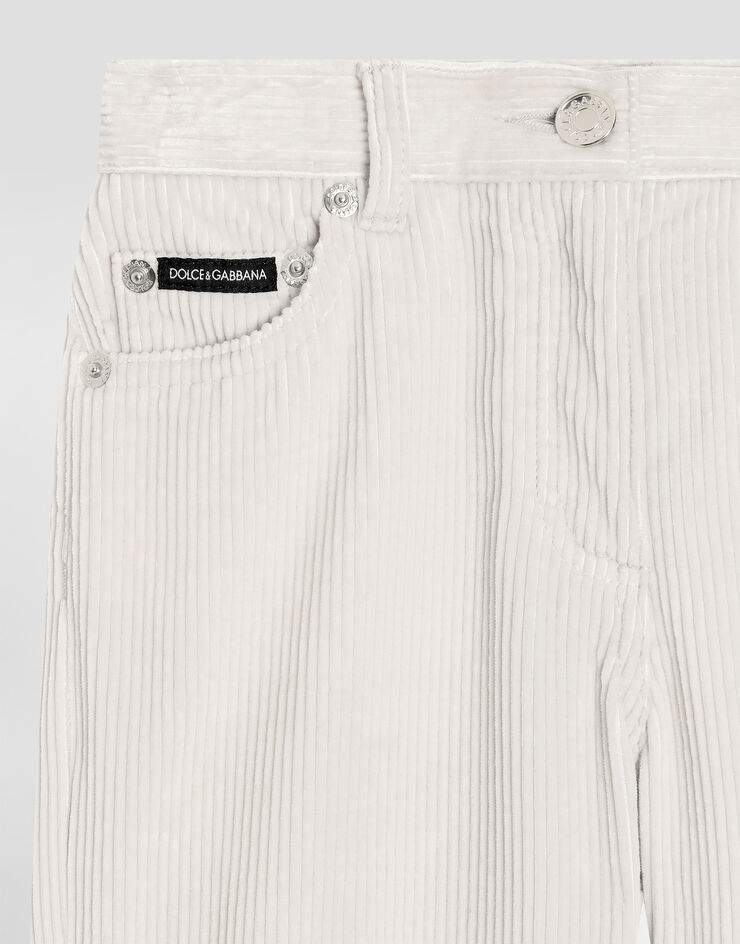 Dolce & Gabbana 5-pocket trousers in striped velvet Beige L52F79FUVB2