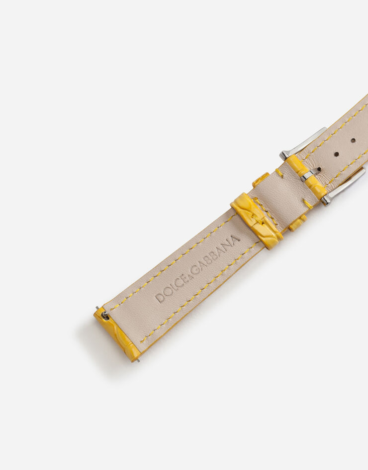Dolce & Gabbana Alligator strap with buckle and hook in steel JAUNE WSFE2LXLAC1