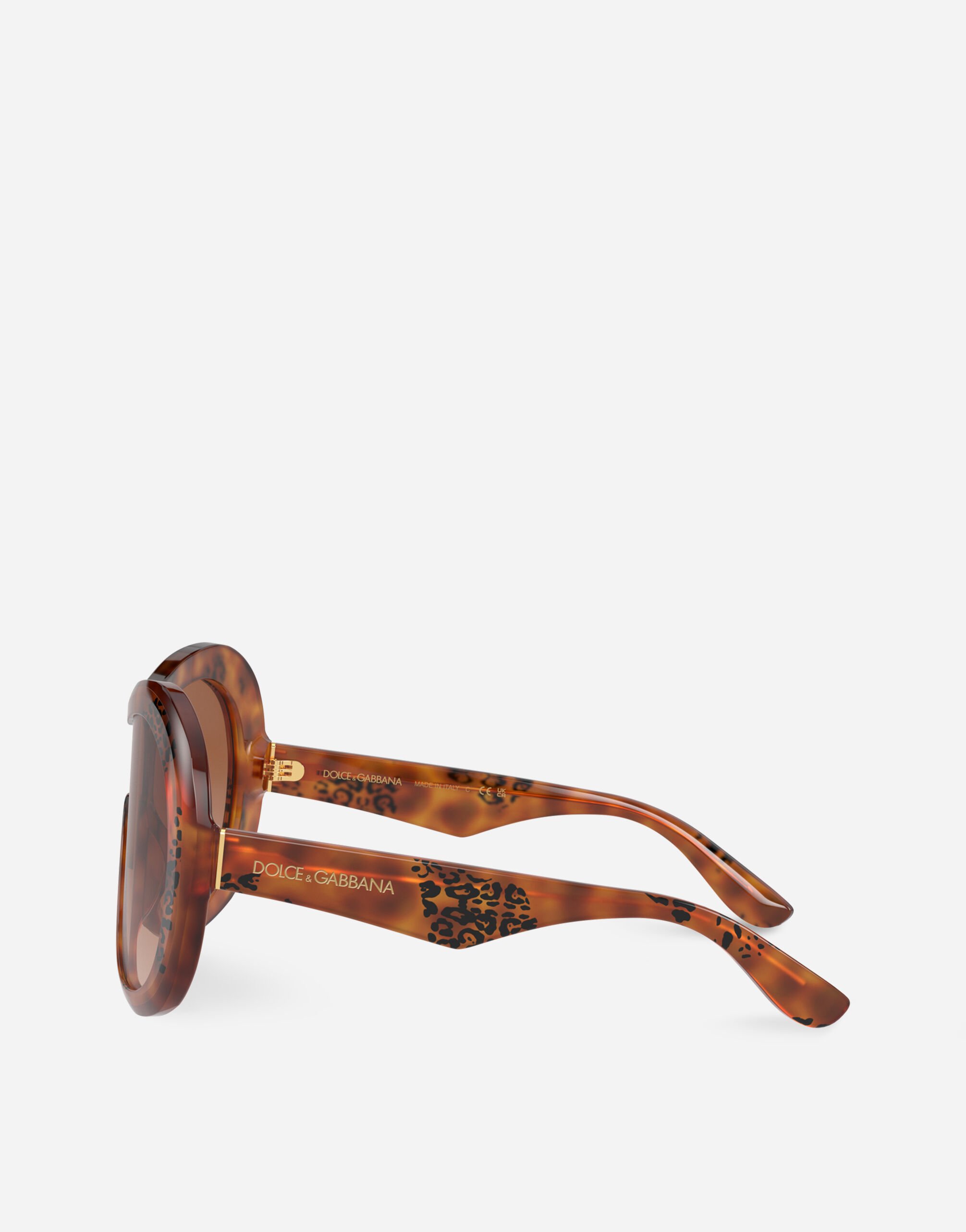 DNA sunglasses in Animal Print for Women Dolce Gabbana
