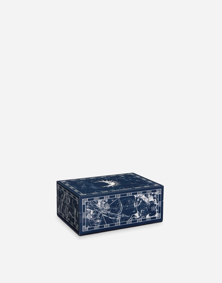 Dolce & Gabbana Kleine dekorierte Plexiglas-Box Dolce & Gabbana Kleine dekorierte Plexiglas-Box Mehrfarbig TCC202TCAMY