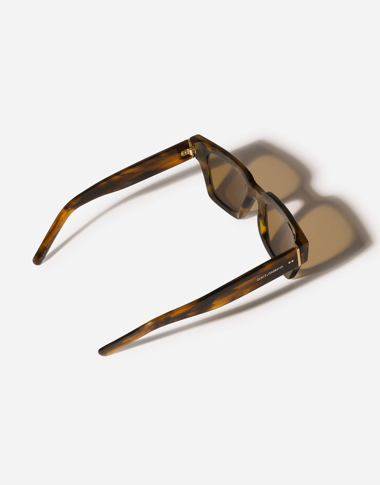Dolce & Gabbana DNA Sunglasses Vintage havana VG4413VP373
