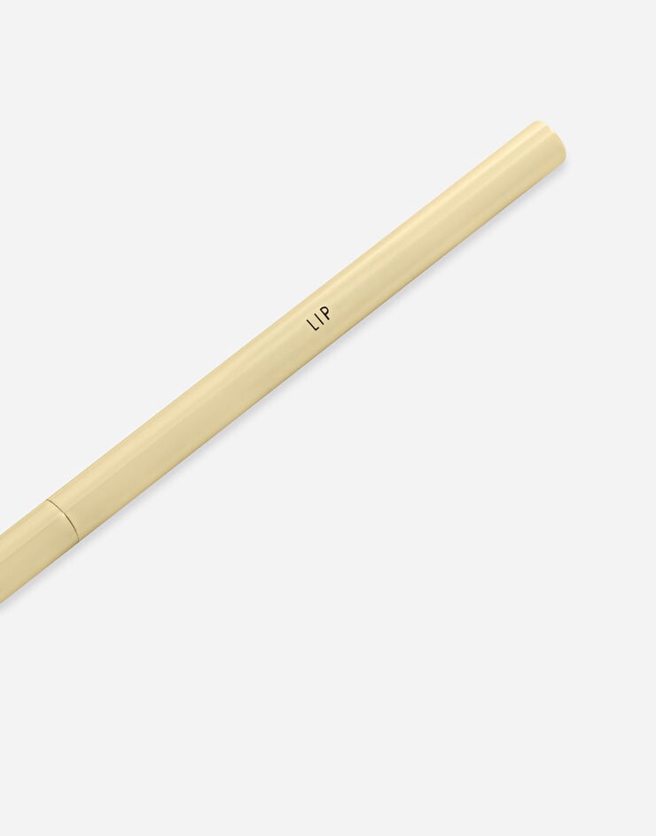 Dolce & Gabbana Lip Beauty Brush - MKUPLIP0017