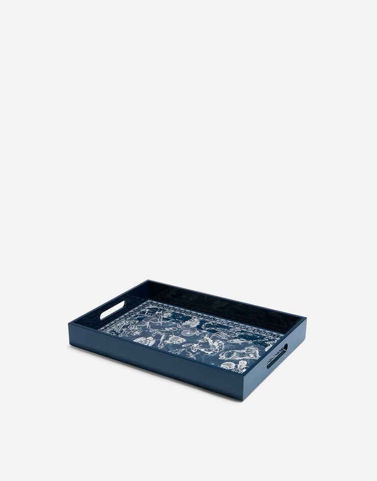 Dolce & Gabbana Plexiglass Tray Dolce & Gabbana Plexiglass Tray Multicolor TC0107TCALR