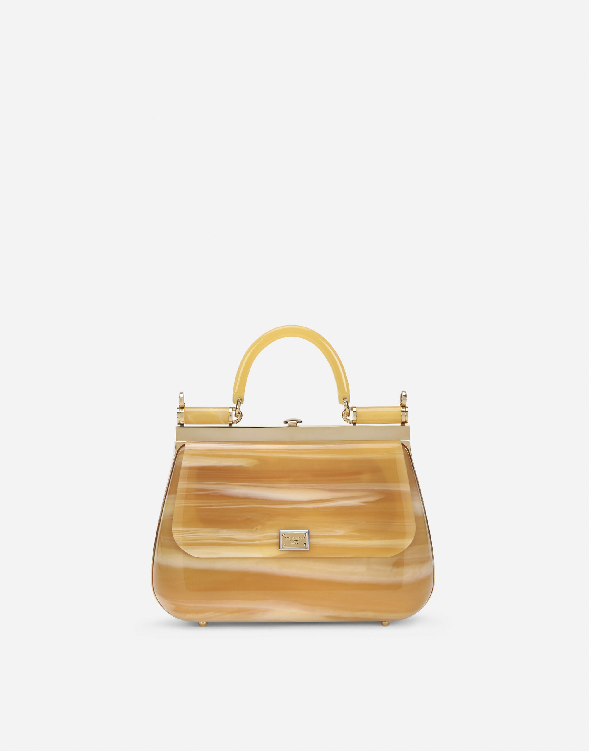 Dolce gabbana transparent bag deals
