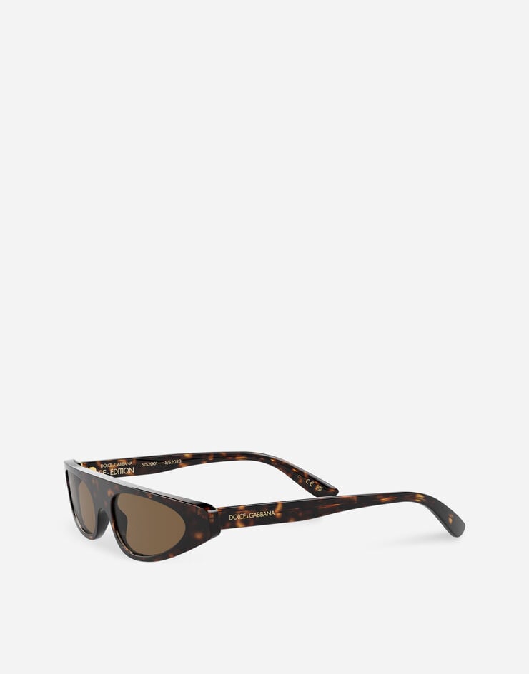 Dolce & Gabbana Black Re-Edition DNA Cat-Eye Frame Sunglasses main image 0